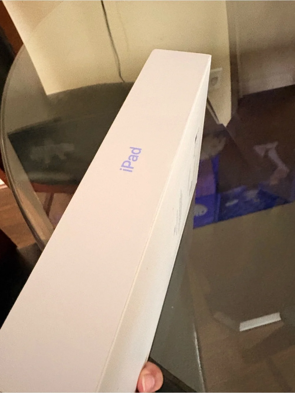 Apple iPad - Silver/White Back